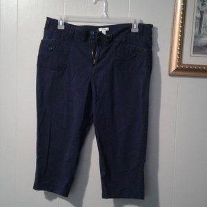 Fashion Bug Navy Blue Capri Pants
